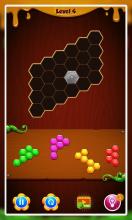 Block Puzzle Mania Game截图1