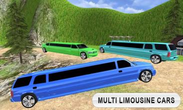 Limousine Taxi Driving Game截图1