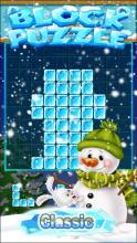 New Ice Block Puzzle Game 2019截图2