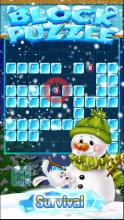 New Ice Block Puzzle Game 2019截图1