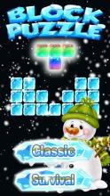 New Ice Block Puzzle Game 2019截图3