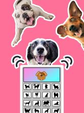 Bark  Human to Dog Translator截图1