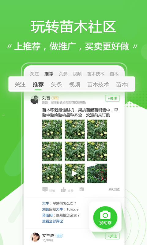 苗木通v4.1.3截图2