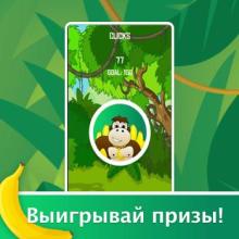 Monkey's Click截图1