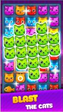 Pop Cat Bomb  Bubble Kitty Cute截图3