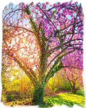 Spring Trees Puzzle截图2