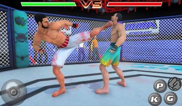 Real Fighter Ultimate fighting Arena截图1