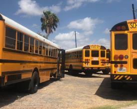 School Buses New Jigsaw Puzzles截图2