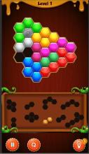 Block Hexa Puzzle 2019截图3