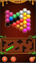 Block Hexa Puzzle 2019截图2