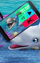 Dolphin Show Fun Game Aquarium Background截图2