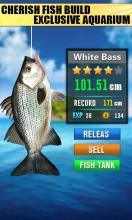 New Fishing Hit  3D  Fishdom截图2