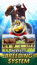 Champion Horse Racing截图2