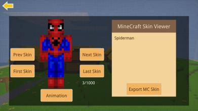 Pixel Craft MC SkinMap Viewer截图5