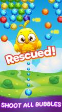 Candy Bird papa crush bubble截图4