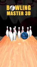 Bowling Master 3D截图3