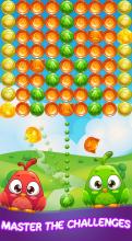 Candy Bird papa crush bubble截图2