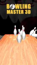 Bowling Master 3D截图5