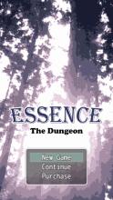 Essence The Dungeon截图5