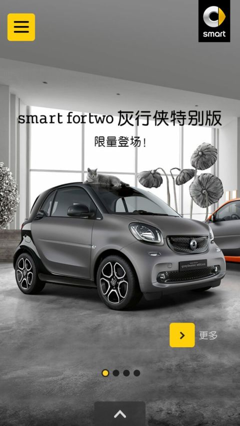 奔驰smart截图1