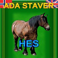 Ada Spelling截图1
