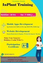 Remo Bro Run截图1