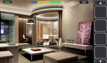 Fun Escape Beautiful House截图3