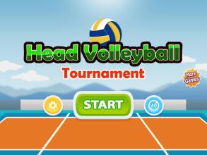 Head Volleyball Tournament截图3