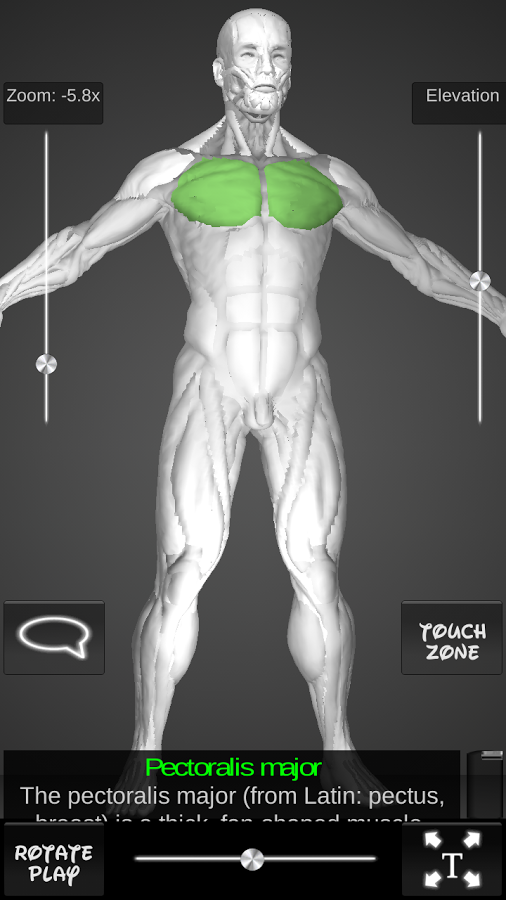 Muscles 3D截图11