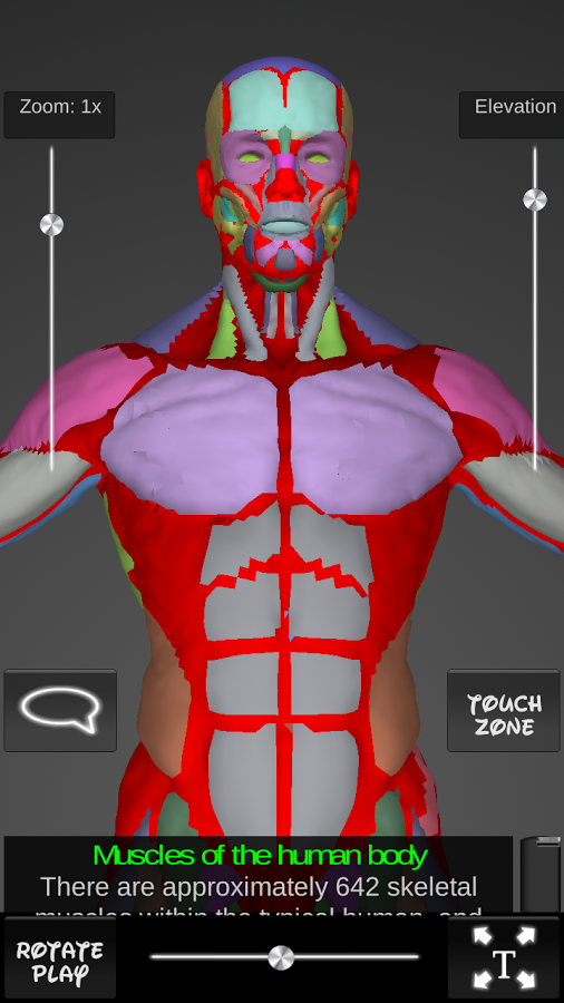 Muscles 3D截图6