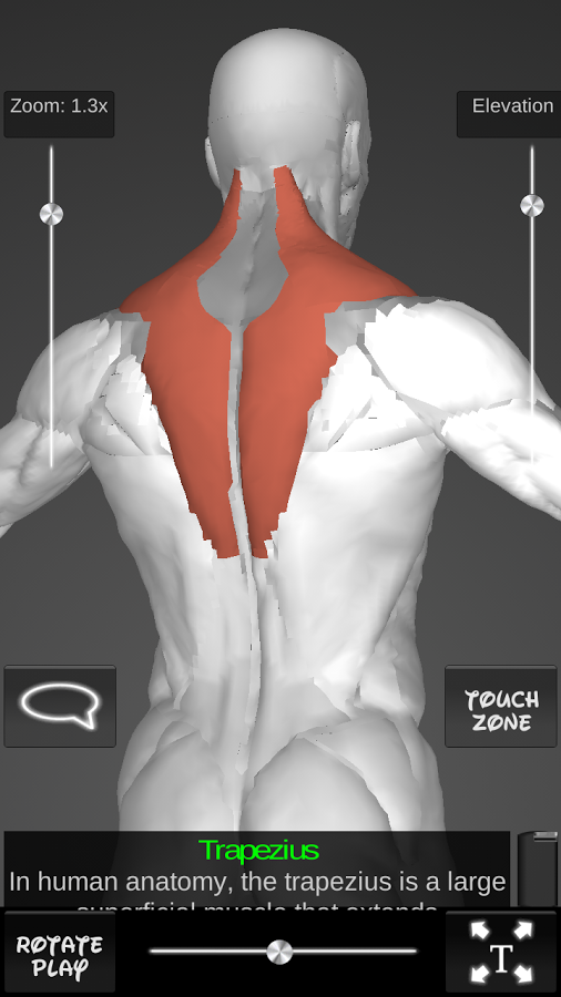 Muscles 3D截图8