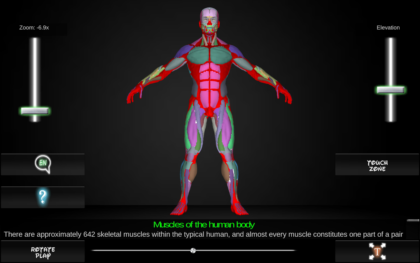 Muscles 3D截图1