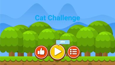 Cat Challenge截图4