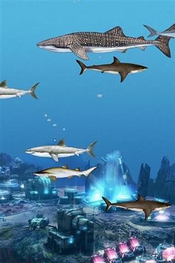 Abubu Ocean Wallpaper截图4