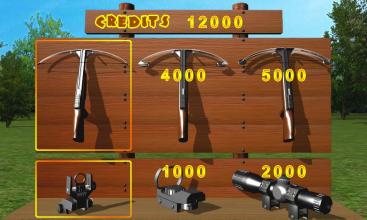 Crossbow Shooting deluxe截图4