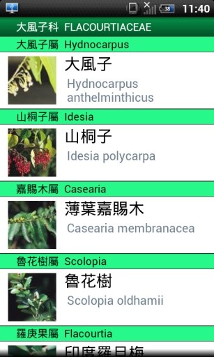台湾树木图鉴截图4