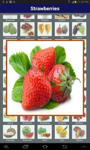 Kids EZ Fruits ABC Lite截图11