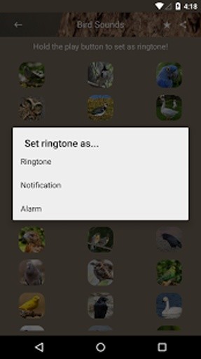 鸟声音和铃声截图2