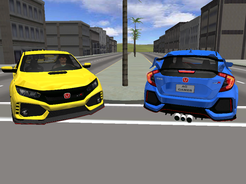 Typer Driving Simulator截图5