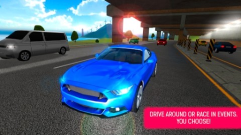 Car Driving Racing Simulator截图4