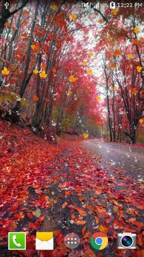 Maple Drops Live Wallpaper截图6