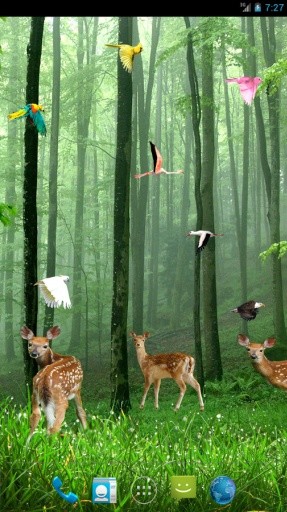 Rain Forest Live Wallpaper截图10