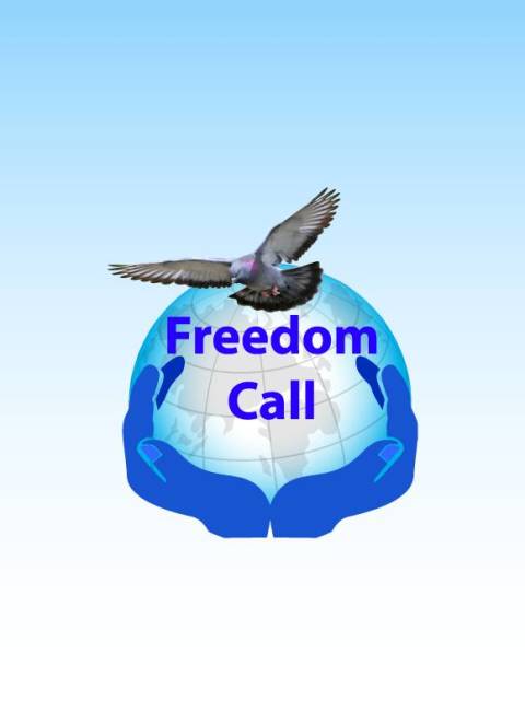 Freedom Call截图1