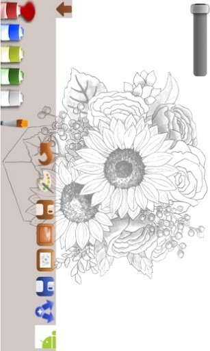 Coloring adult (flower)截图1