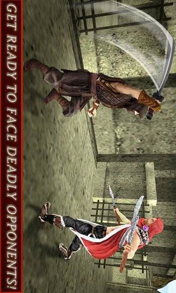 Ninja Warrior Assassin 3D截图5