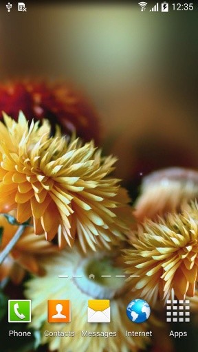 Autumn Flowers Live Wallpaper截图4