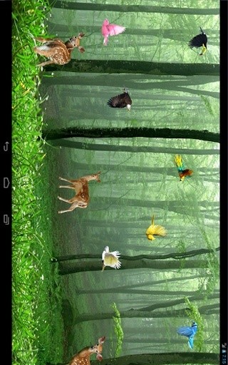 Rain Forest Live Wallpaper截图1