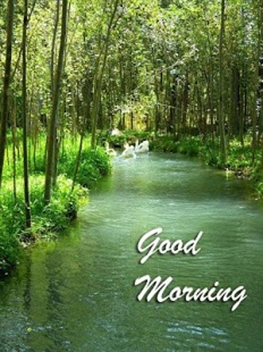 Best Good Morning Images截图3