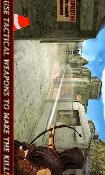 Ninja Warrior Assassin 3D截图4