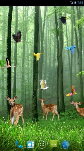 Rain Forest Live Wallpaper截图9